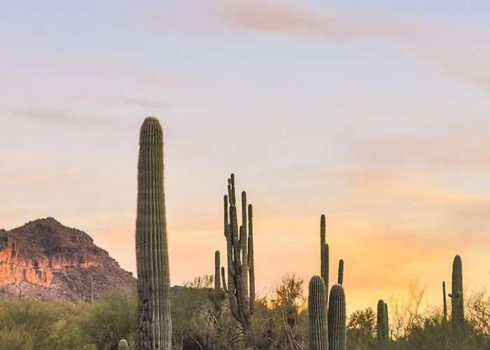 Hébergement de vacances Luxury Desert Oasis! 5 Bedroom, 3 Bath W Heated Pool Mesa